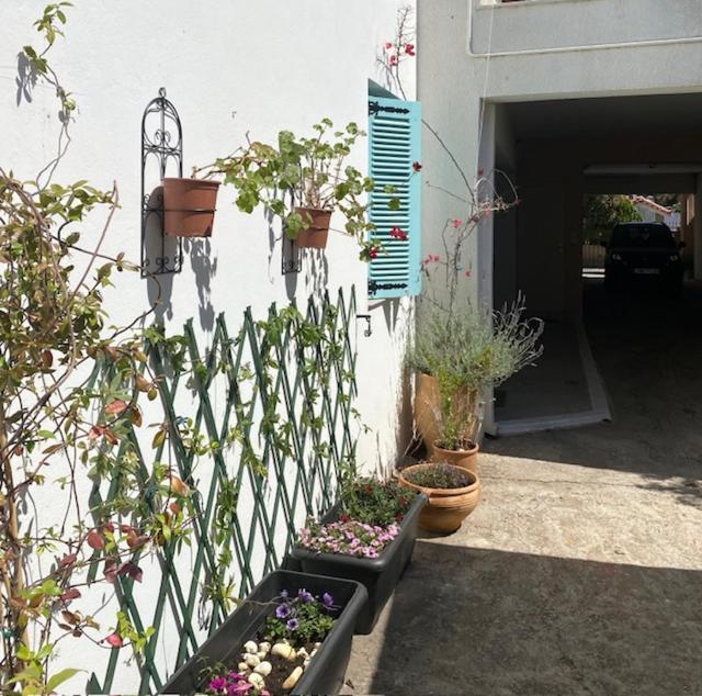 Spata Lykourgos Homes 外观 照片